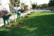 بوستان جوان قم توسعه پیدا می‌کند