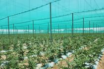 تخصیص تسهیلات برای توسعه گلخانه تابع اقلیم در کشور 