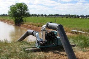 حدود 10 درصد مصرف برق هرمزگان مربوط به بخش کشاورزی است