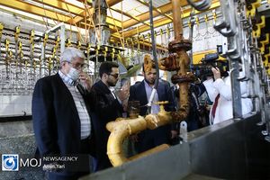 فعالسازی واحدهای فرآوری برای انجماد گوشت مرغ مازاد بازار / منافع واردکننده ها مانع فعالسازی واحدهای فرآوری