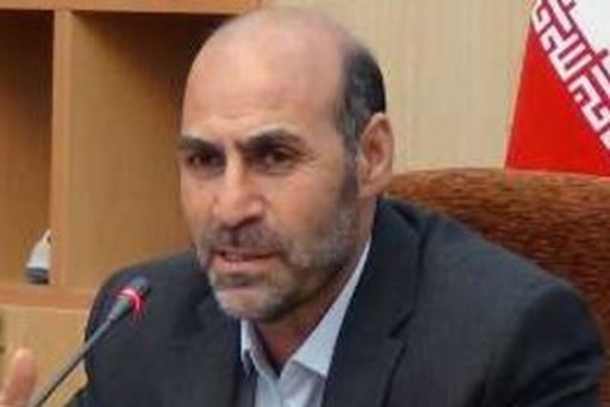 رضامیرزایی