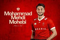 محمد مهدی محبی به پرسپولیس پیوست