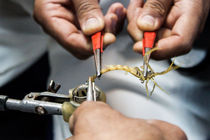 تولید 8 نوع واکسن و 5 نوع سم عقرب در شعب موسسه رازی