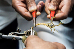 تولید 8 نوع واکسن و 5 نوع سم عقرب در شعب موسسه رازی