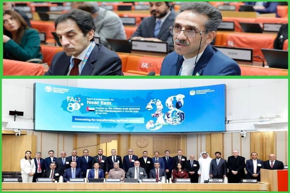 سازمان غذا و کشاورزی ملل متحد