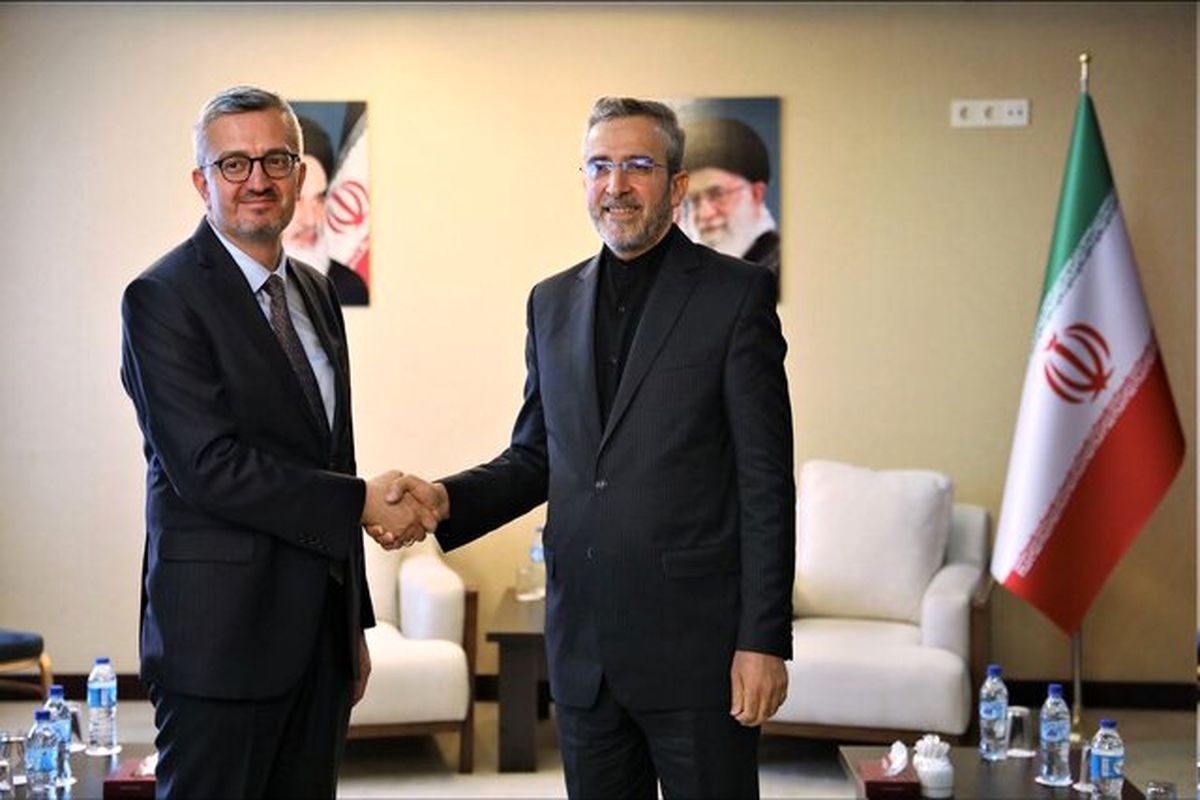 سرپرست وزارت امور خارجه و ترکیه