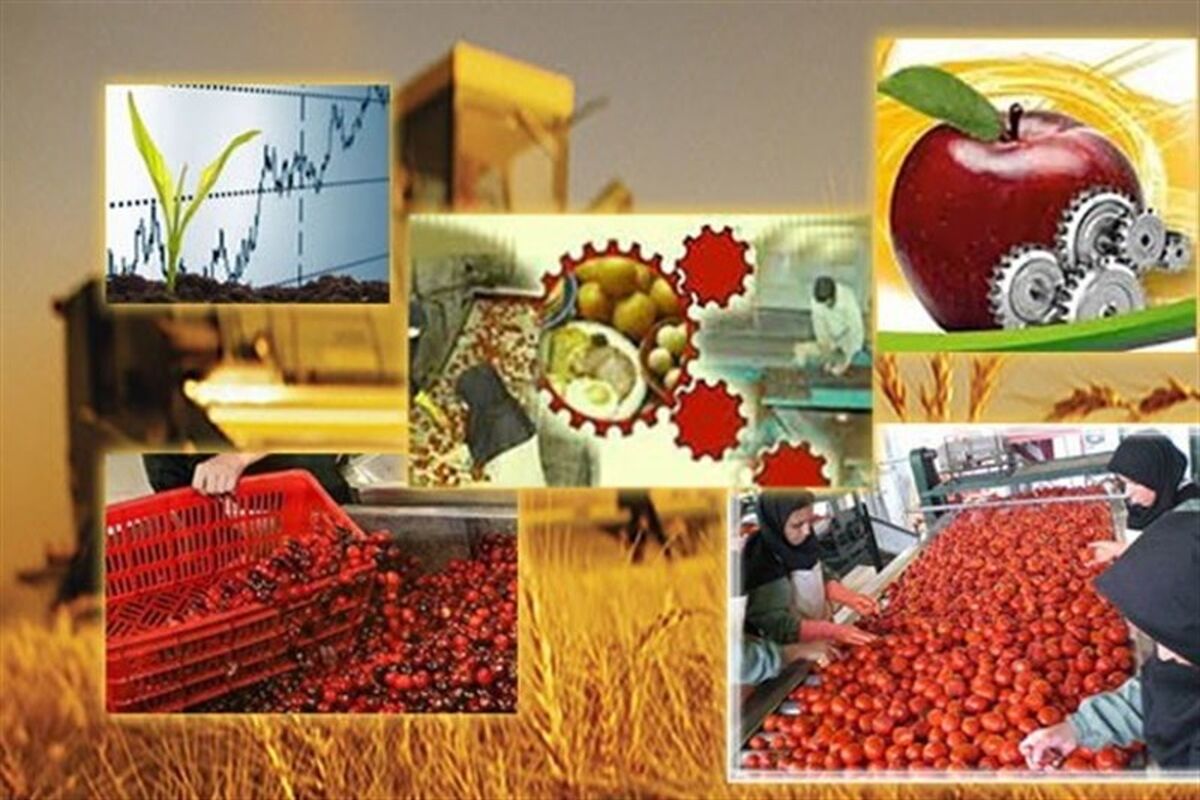صنایع تبدیلی و تكمیلی بخش كشاورزی كرمانشاه