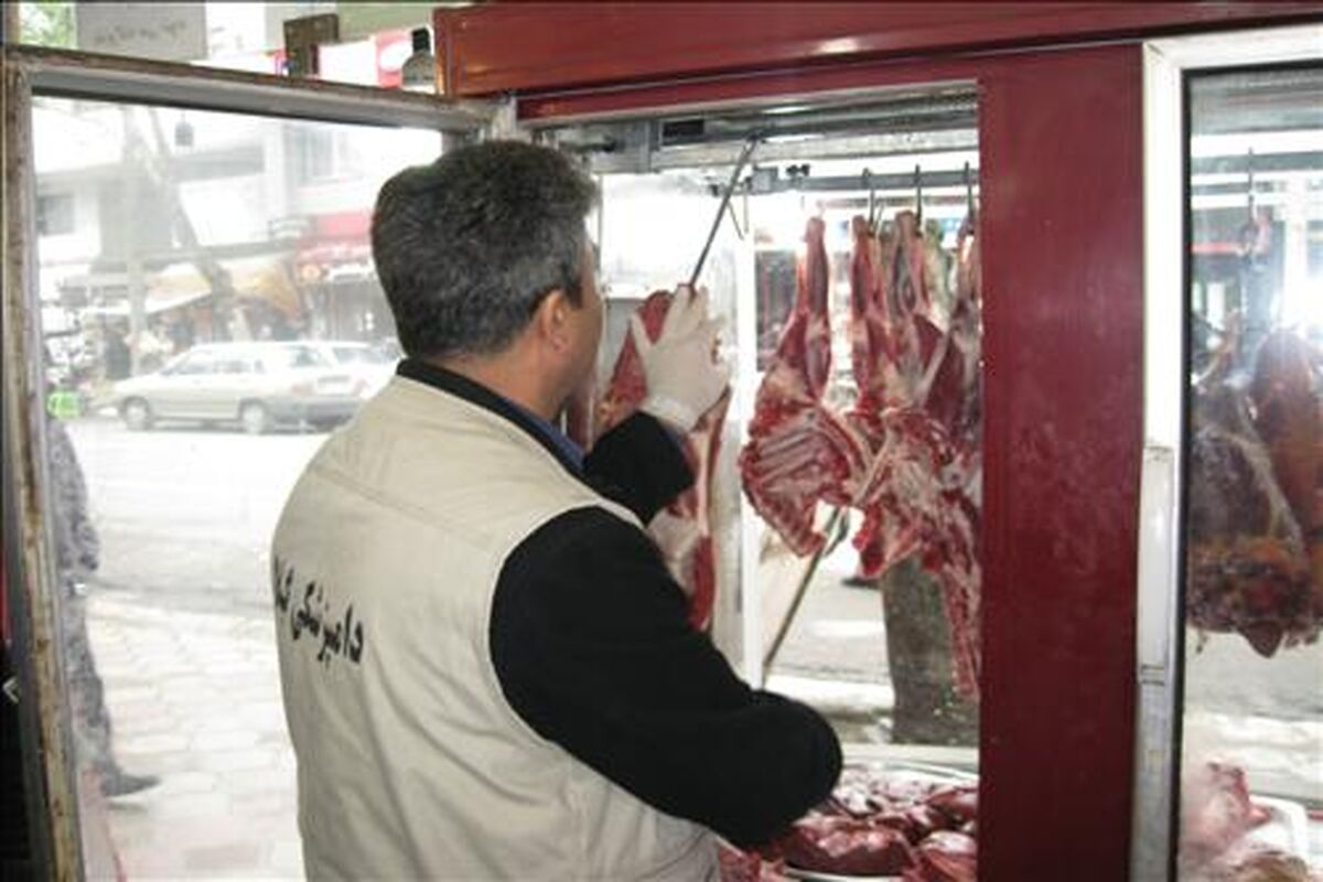دامپزشکی
