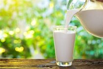 کشتار دام های مولد موجب واردات شیر و گوشت در سال آتی می شود