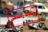 برخورد پژو۴۰۵ و تریلر در جاده بندرلنگه ۶ مصدوم بر جای گذاشت
