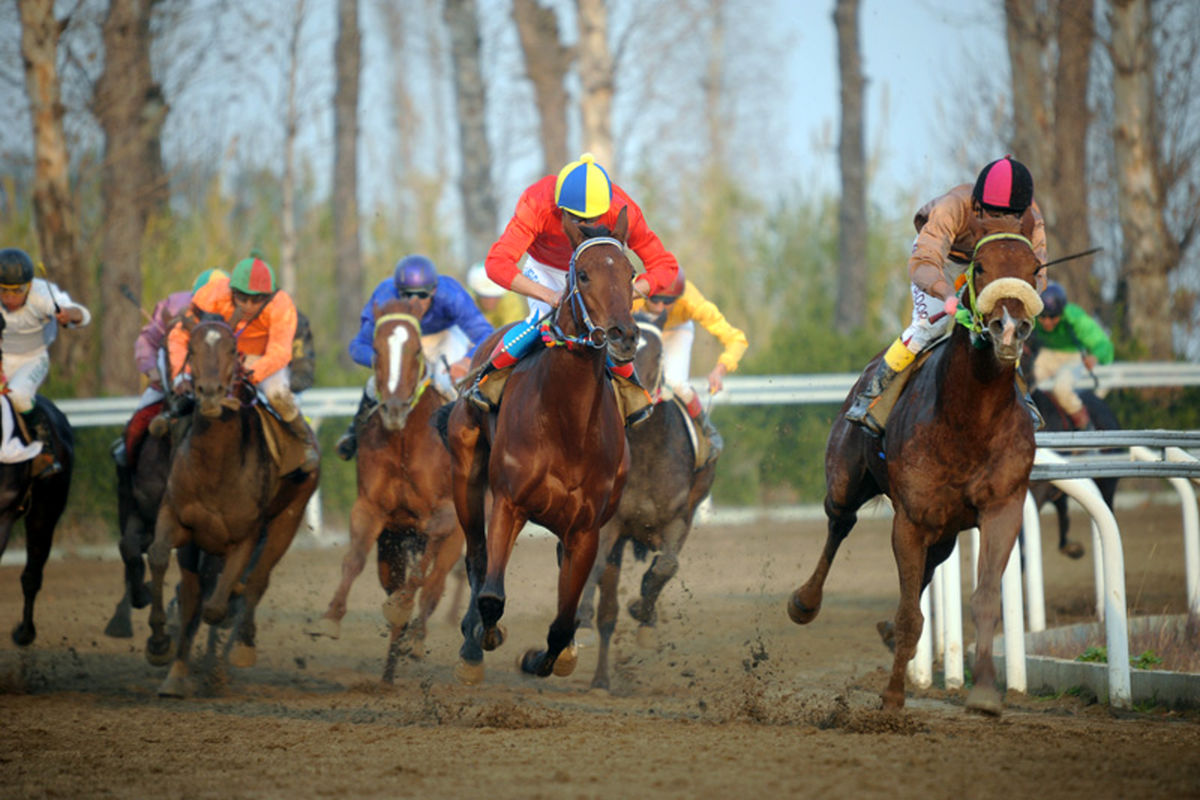 هفته ششم کورس اسبدوانی تابستانه بندرترکمن