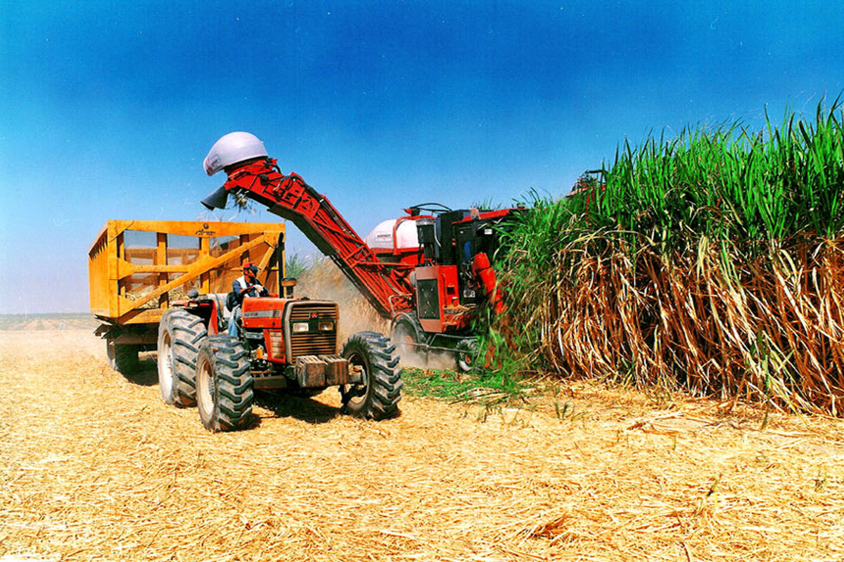 شرکت کشت و صنعت امام خمینی