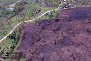 تصاویر هوایی از پایان آتش سوزی در جنگل های لاهیجان