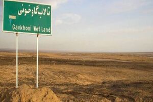 کاهش مصارف آب تنها راه جلوگیری از تبدیل «گاوخونی» به بیابان