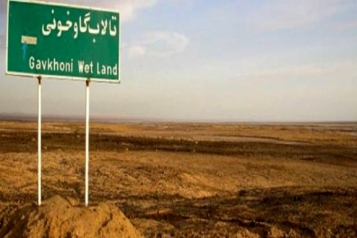 تالاب گاوخونی