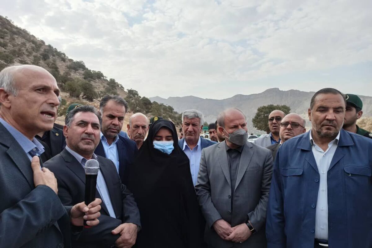 بهادری