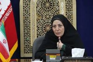 مجوز فعالیت پارک‌های بازی با ۵۰ درصد ظرفیت صادر شد