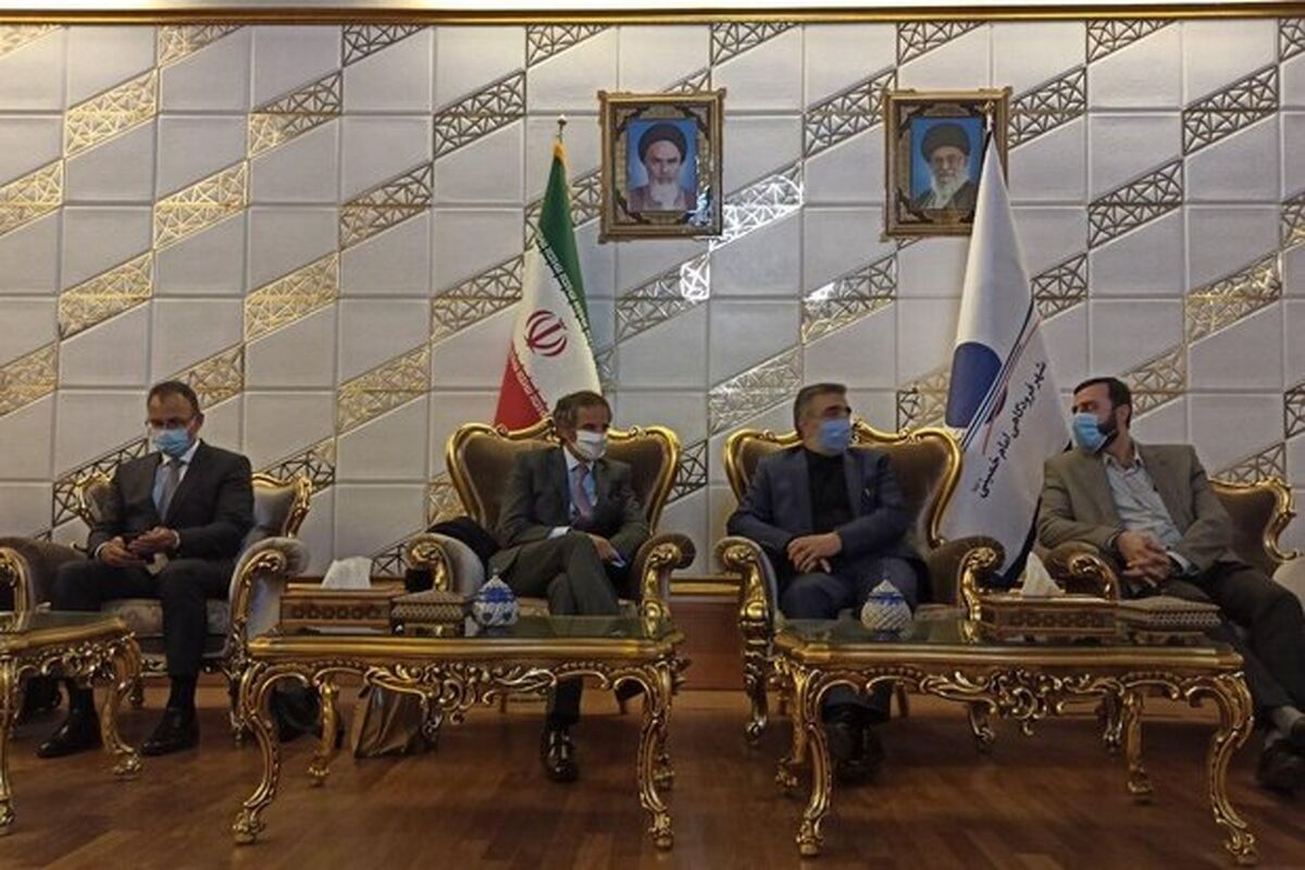 مدیرکل سازمان انرژی اتمی