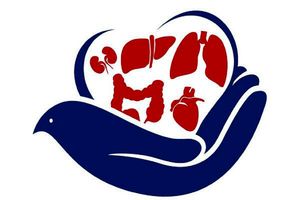 اهدای اعضای بدن یک بیمار دچار مرگ مغزی درقم 