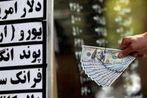 منابع ارزی دولت برای مداخله در بازار محدود است/دولت در نظارت بر عملکرد بانکهای خصوصی ضعف دارد
