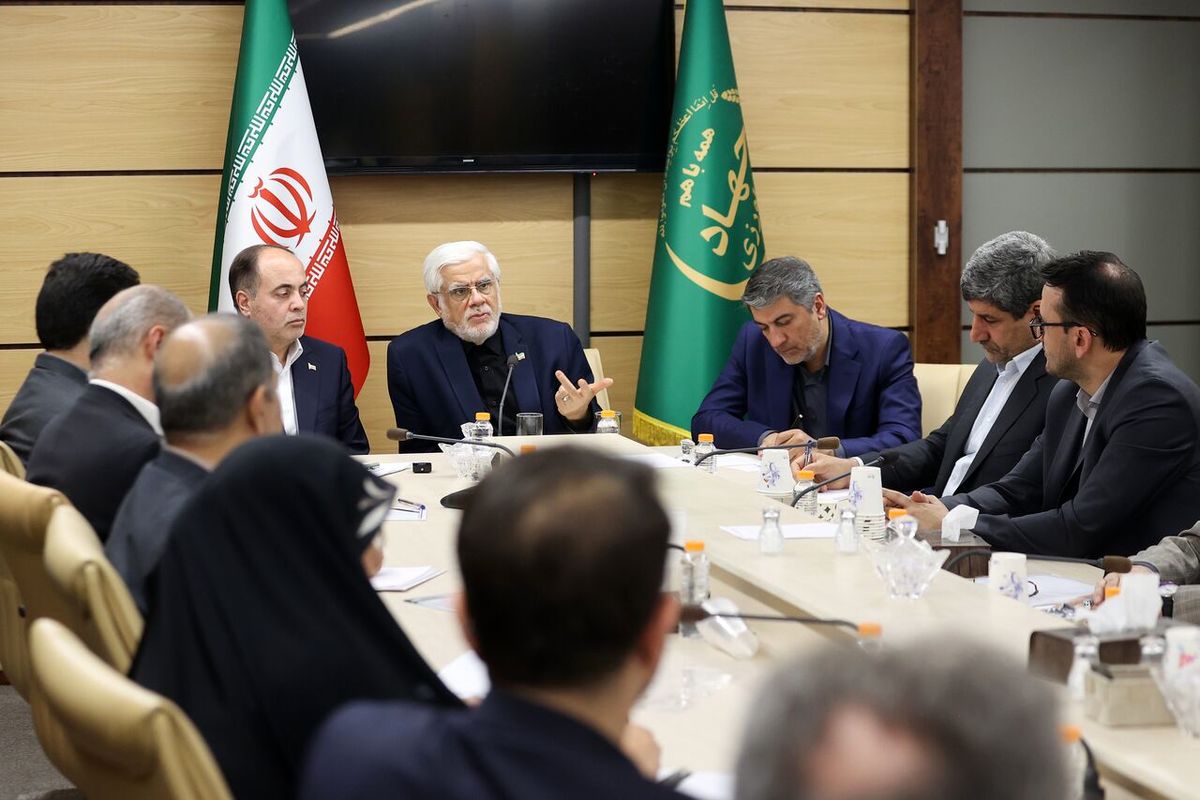 محمدرضا عارف   معاون اول رئیس جمهور