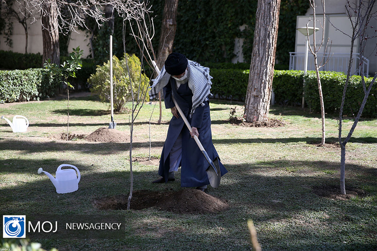 کاشت نهال توسط رهبر معظم انقلاب