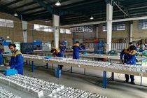  تسهیلات بانک سینا برای اشتغال مناطق روستایی استانهای مرکزی، لرستان و قم