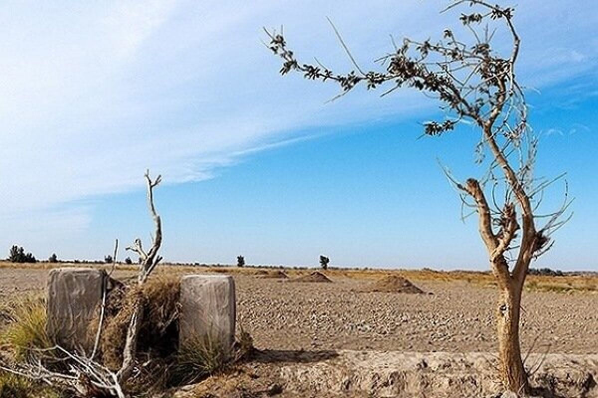 تالاب هامون