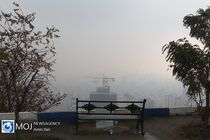  کاهش نسبی دما در تهران 