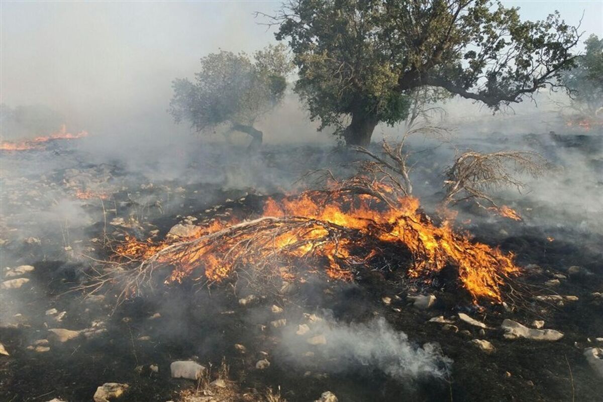 آتش سوزی