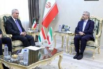 باید پیگیر رفع موانع توسعه همکاری‌ های ایران و تاجیکستان باشیم