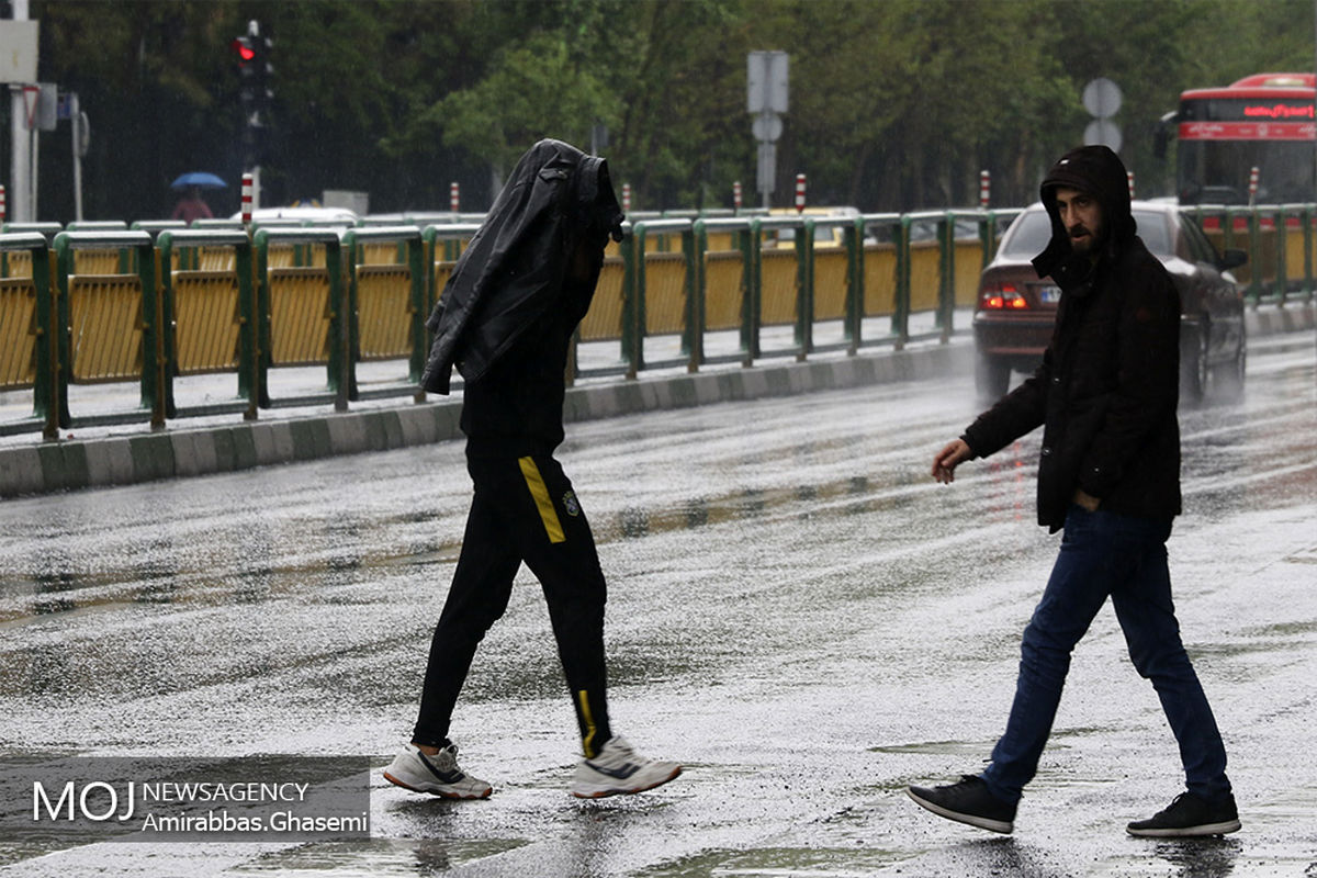 بارش باران بهاری در تهران