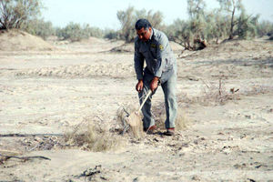 دستگیری دو گروه زنده گیری غیرمجاز پرندگان وحشی در مشگین شهر 