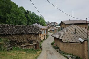 مدیرکل میراث‌فرهنگی مازندران بر نقش جامعه محلی در ثبت جهانی روستای شانه‌تراش تأکید کرد