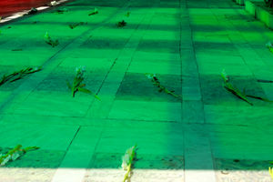 قبور شهدای انقلاب در قم ساماندهی می شود