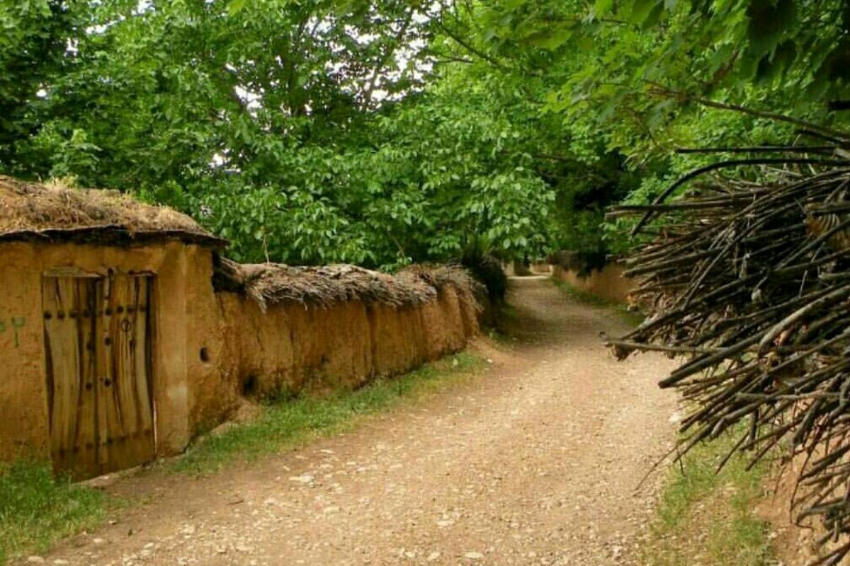 باغات قصردشت شیراز 