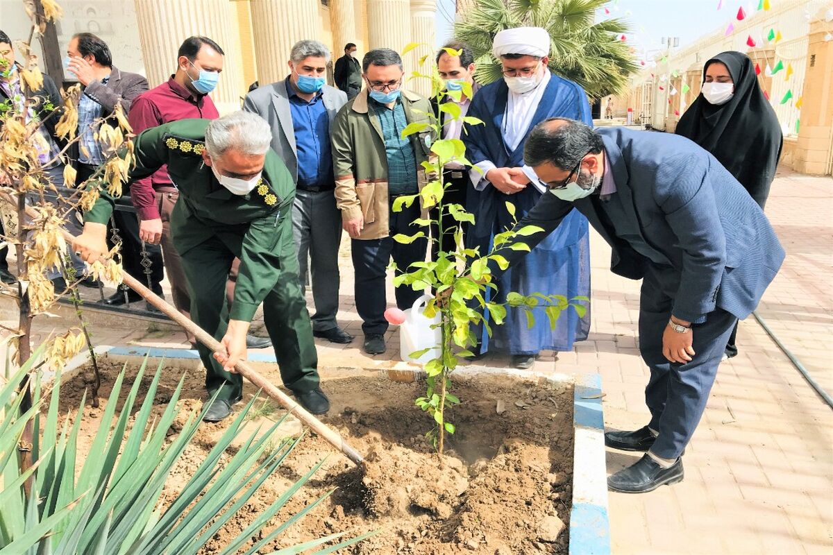 روز درخت کاری در کاشان