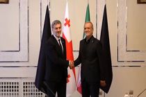 دیدار رئیس‌جمهور گرجستان با پزشکیان + فیلم