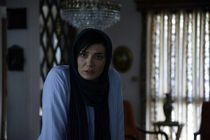 «هایلایت» از 20 درصد هم گذشت