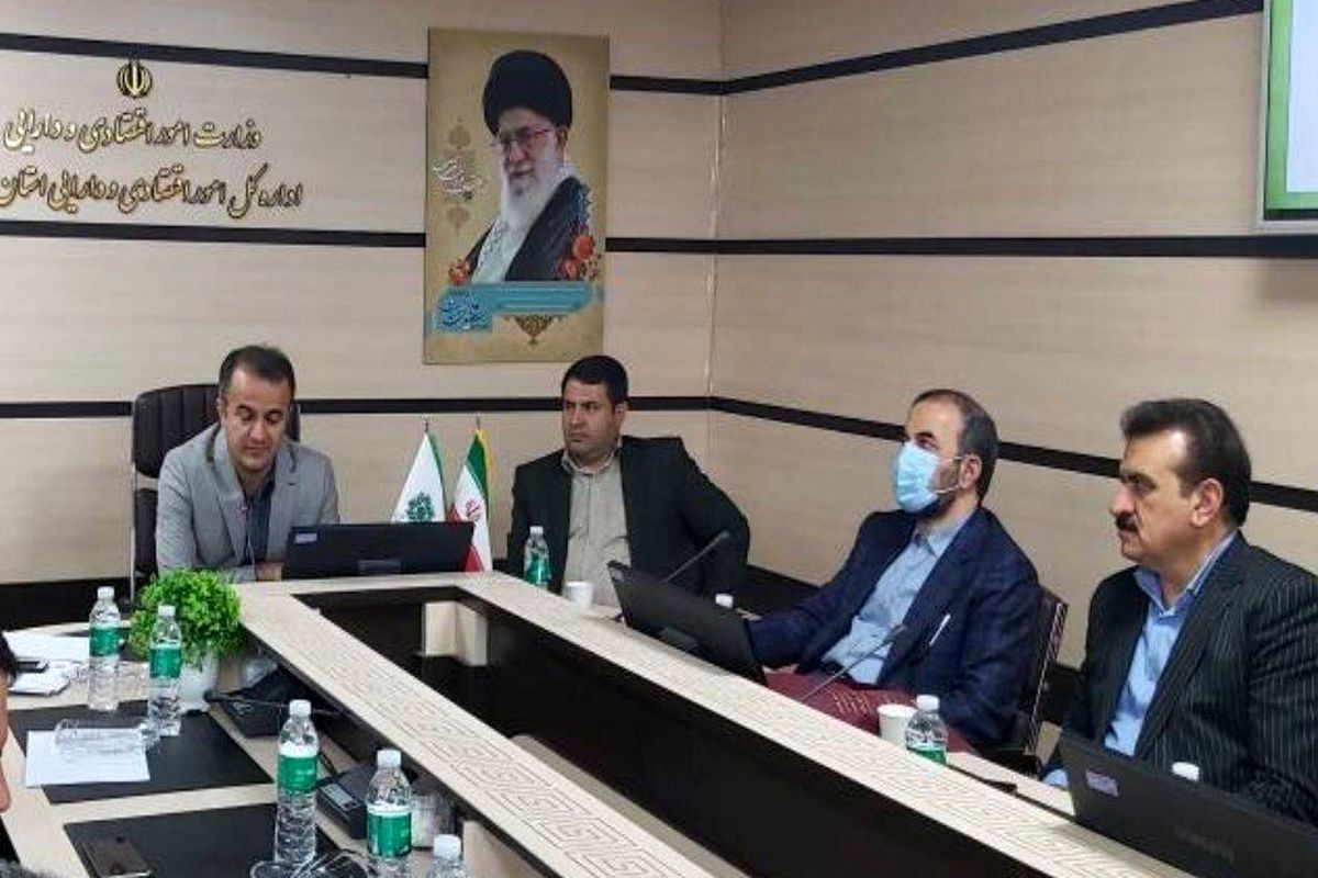 امور مالیاتی