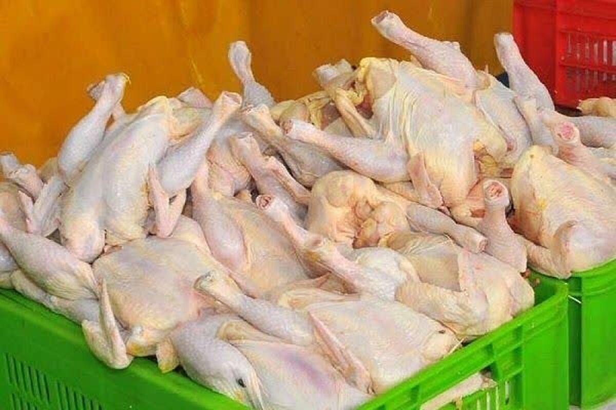 مرغ