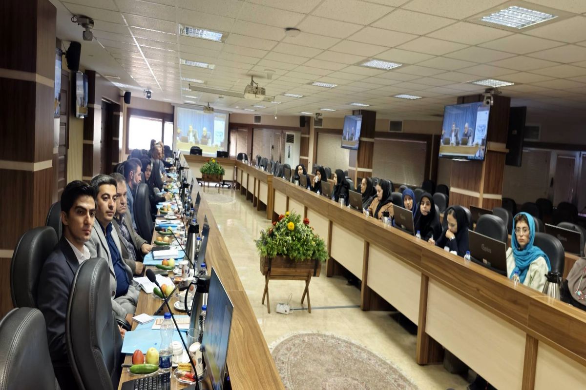 محیط زیست 