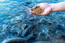 ۴۸ هزار تن به ظرفیت صنایع تبدیلی و غذایی هرمزگان افزوده شد