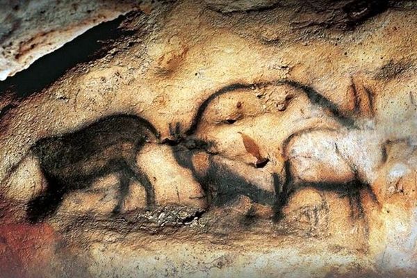 سند سکونت انسان های هوشمند در ۶۵ هزار سال پیش ثبت شد