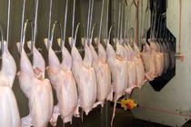 جریمه ۶۹۰ میلیون ریالی عمده‌فروش مرغ در ایلام