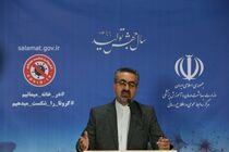 اپیدمی کرونا در بدبینانه ترین حالت تا خرداد ماه پایان می‌یابد