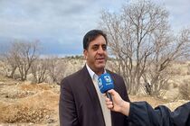 پاکسازی ۲هزارو ۷۵۰ هکتار از جنگل‌های ایلام از آفت لورانتوس