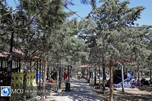 فرماندار نکا از آمادگی کامل ستاد خدمات سفر شهرستان خبر داد