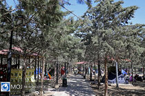فرماندار نکا از آمادگی کامل ستاد خدمات سفر شهرستان خبر داد