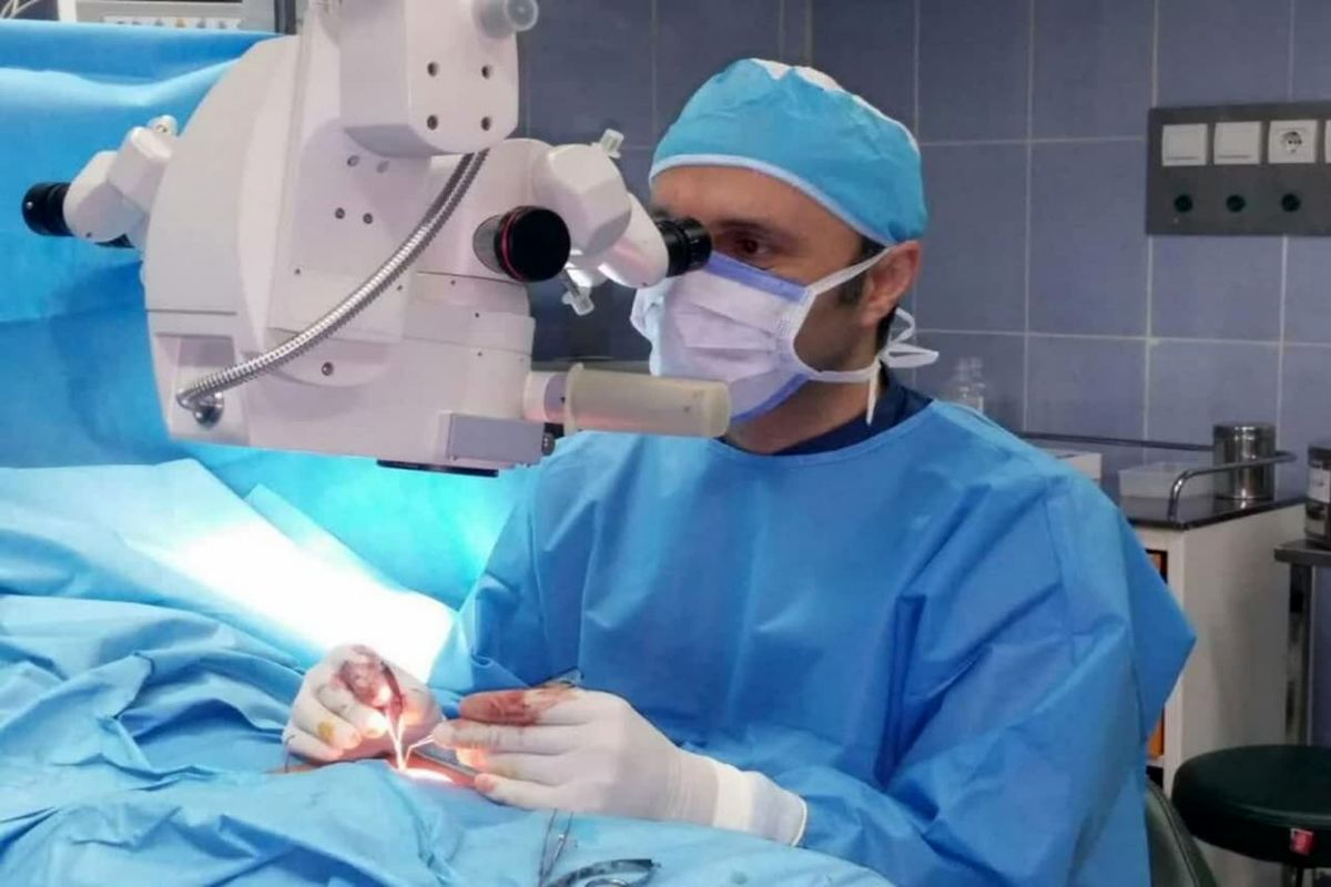 دانشگاه کاشان